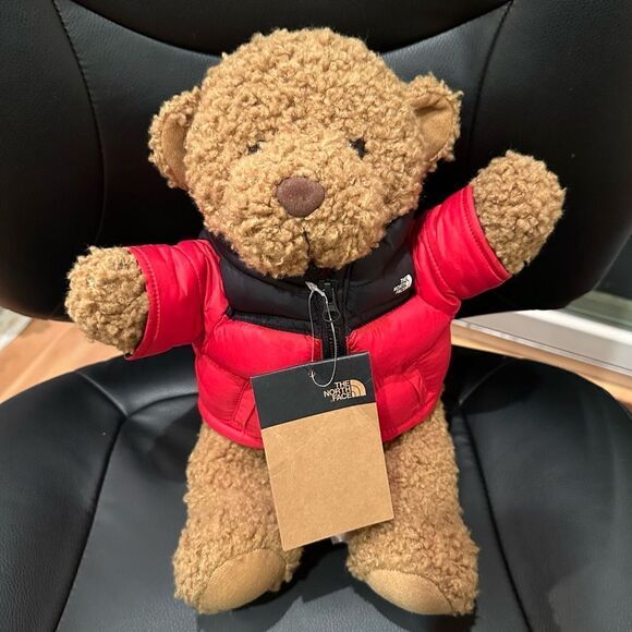 NWT The North Face Teddy Bear 30th Anniversary Red Nupste Jacket Very Rare - Picture 1 of 10